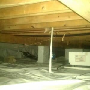Toms River Crawl Space Mold Removal