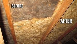Mold Remediation Before and After