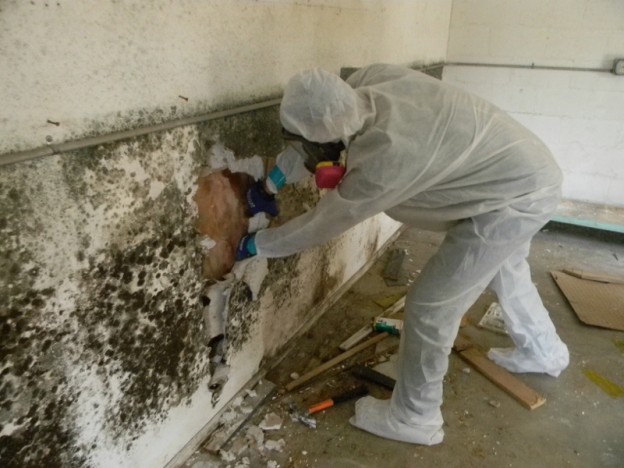 Middletown Mold Remediation